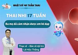 Bầu 17 Tuần Em Bé Đã Đạp Chưa