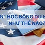 Các Bước Để Đi Du Học Mỹ 2024 Mới Nhất