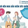 Cty Bảo Hiểm Pvi Cà Mau