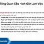 Giờ Làm Việc Ở Iig