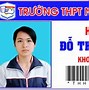 Nhật Ngữ Sakura Bình Dương Ảnh Thẻ Học Sinh Tiểu Học