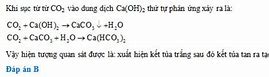 Sục Khí Co2 Vào Nước Vôi Trong Dư