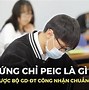 Trường Trung Học Chuyên Nghiệp Tiếng Anh Là Gì