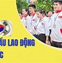 Tư Vấn Du Học - Xuất Khẩu Lao Động Kjp, Trường Yên, Chương Mỹ, Hà Nội