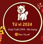 Tử Vi Tuổi Tuất Nữ Mạng 1994